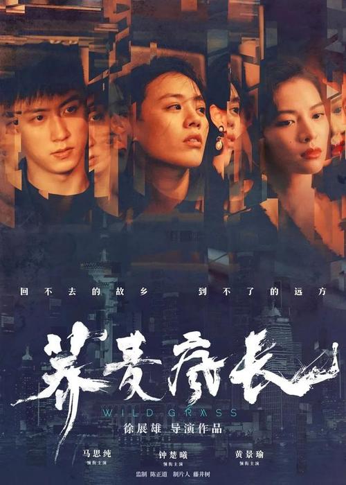 卡泽诺维亚学院毕业证电子图